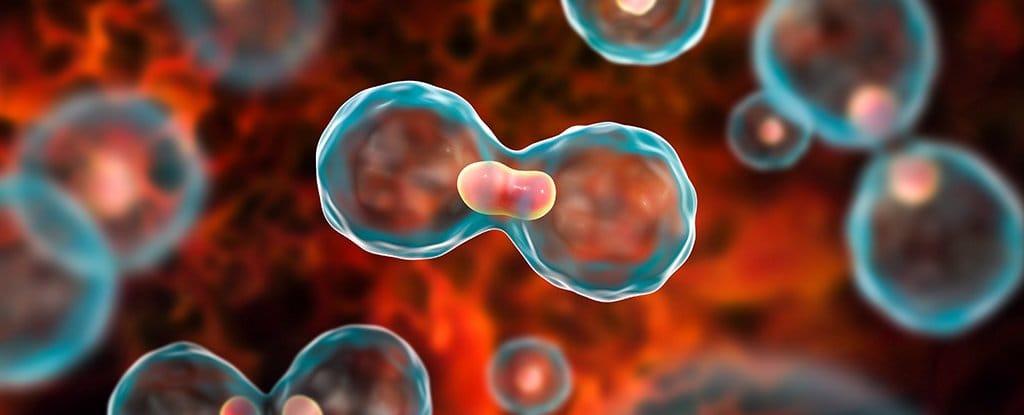 Diagnosis, Treatment Options